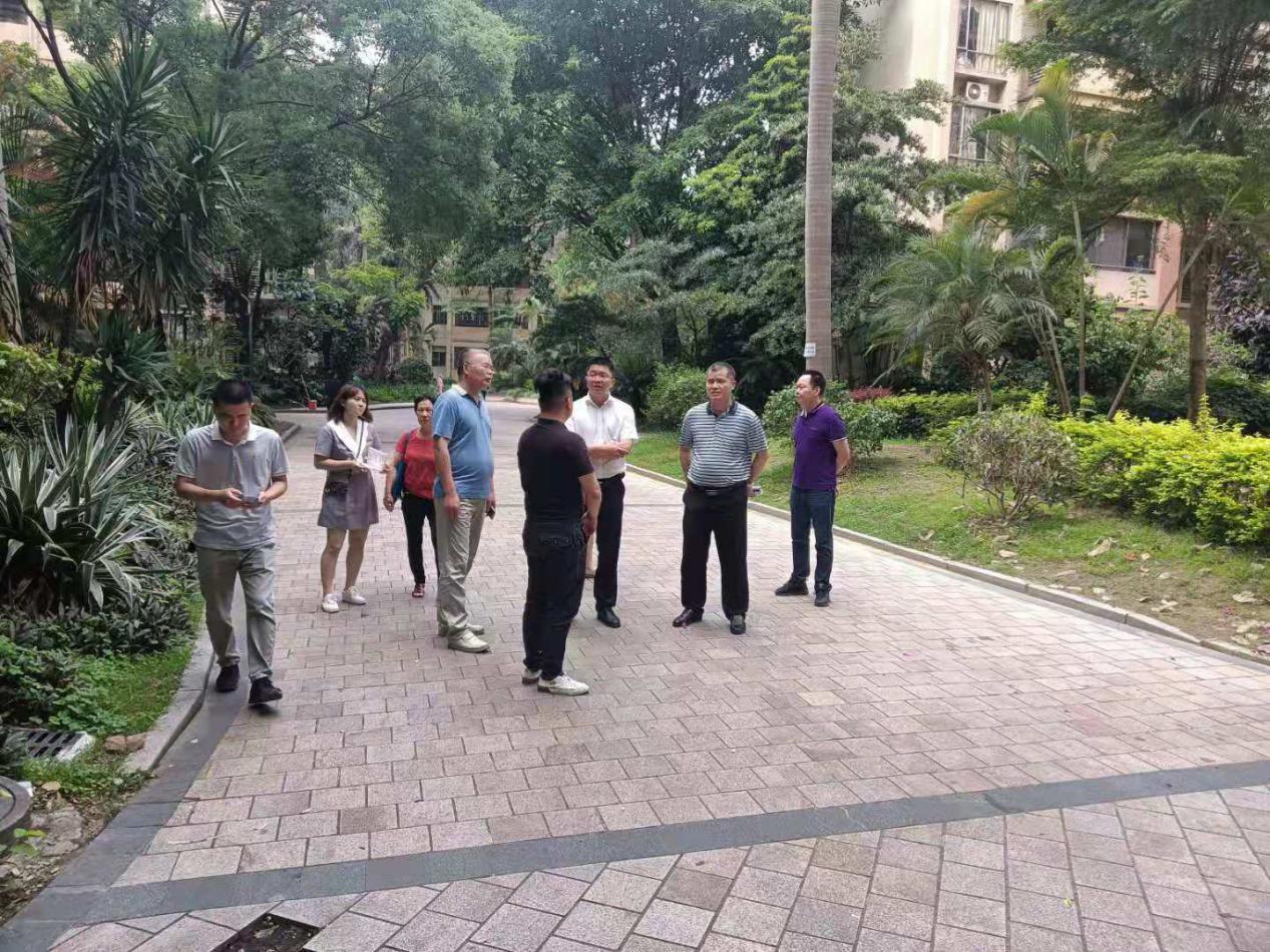 清新区委常委宣传部部长邓建红同志调研物业小区文明创建工作