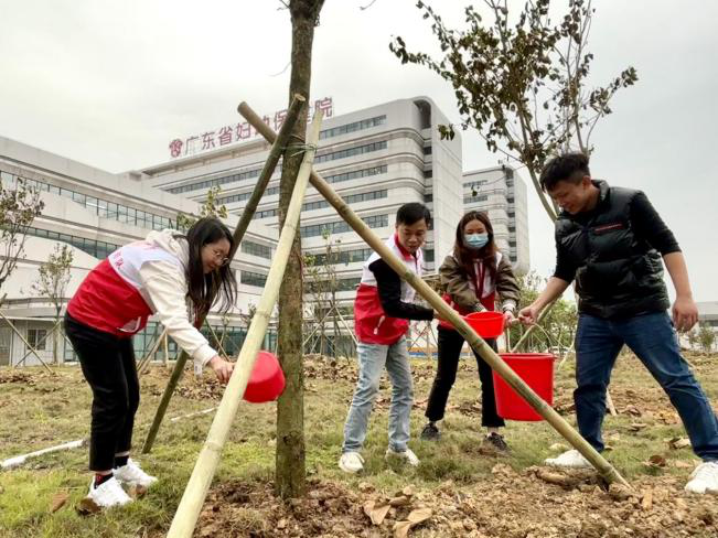 2024-13-03（2024年3月14日，广东省妇幼保健院清远院区成立了苗木管护党员志愿服务队，并开展树苗养护暨主题党日活动。摄影者：黎小虹）.png