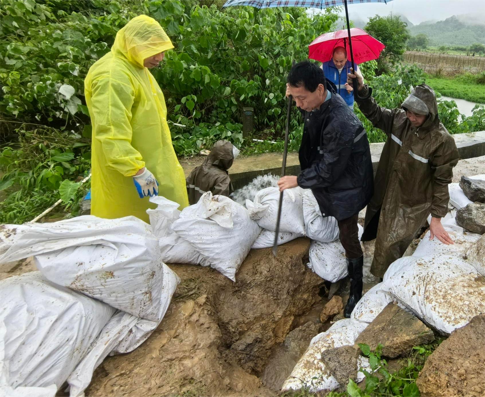 6.刘东华提供技术指导.jpg
