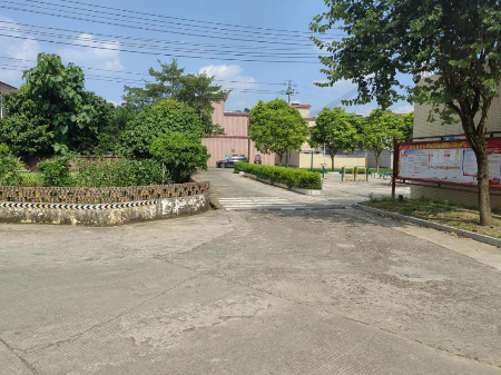 已编辑图片