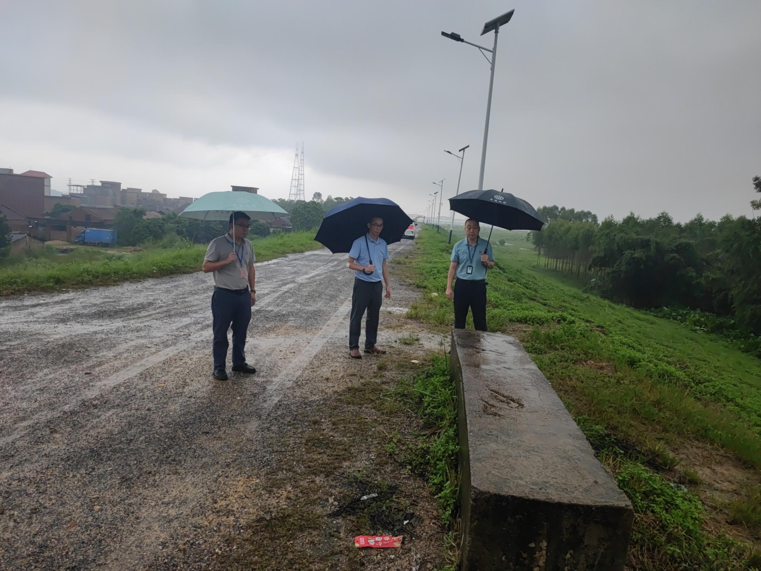 清新区水利局副局长张志华到清西堤围调研.jpg