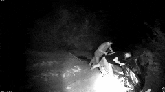 2.gif