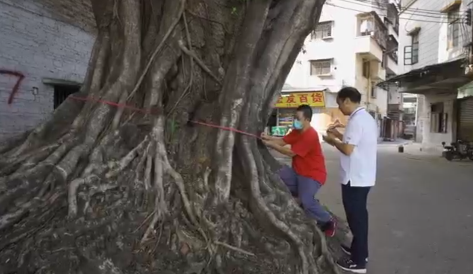 图片3.png